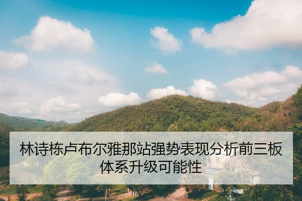 林诗栋卢布尔雅那站强势表现分析前三板体系升级可能性